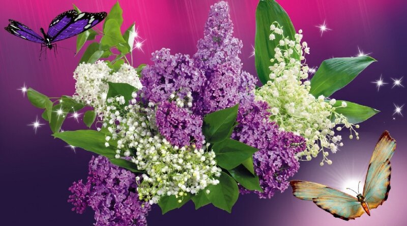 Butterflies and Lilac Flowers