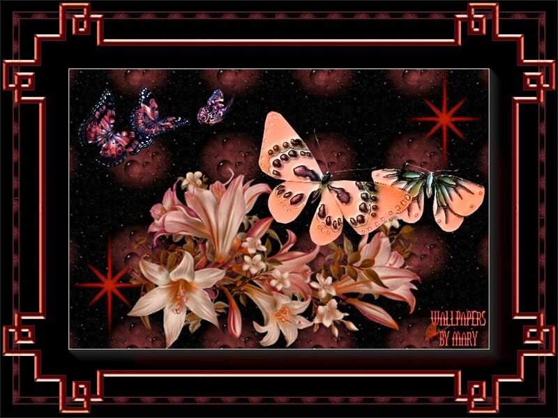 Butterflies and Lilies — Black