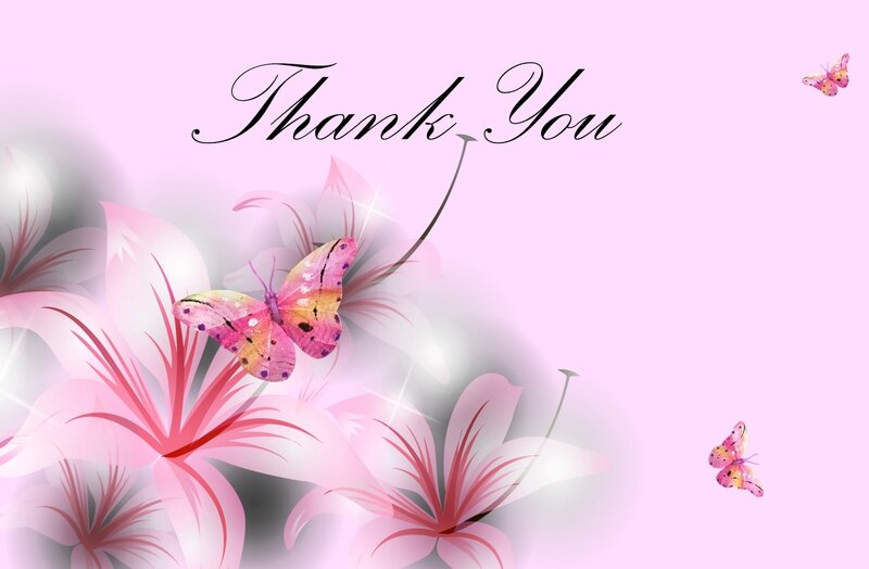 Butterflies and Lilies — Pink