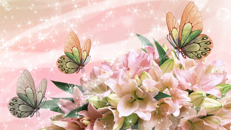 Butterflies and Lilies