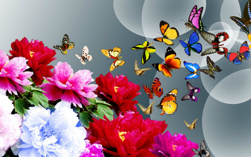 Butterflies and Peonies