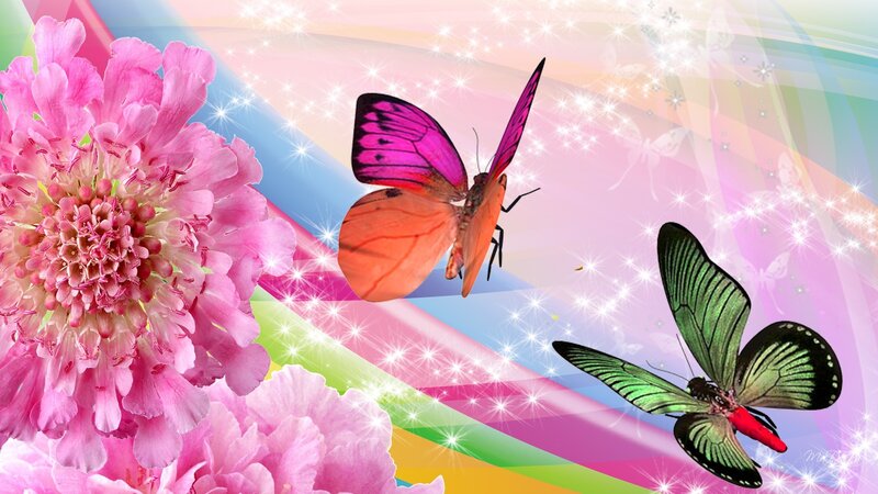 Butterflies and Pink Flowers — Fantastical