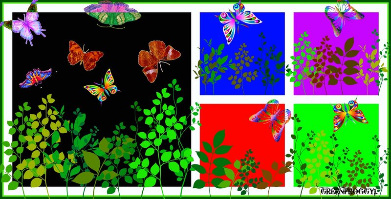 Butterflies and Plants