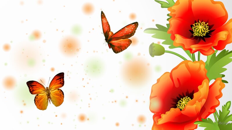 Butterflies and Poppies