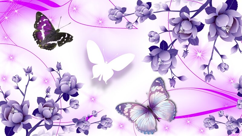 Butterflies and Purple Flowers