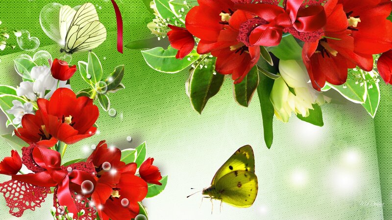 Butterflies and Red Flowers