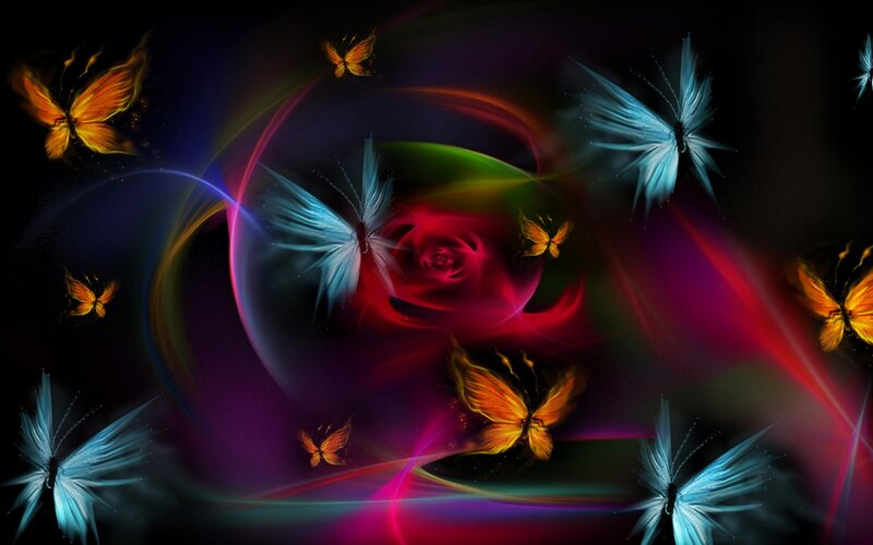 Butterflies and Rose — Black