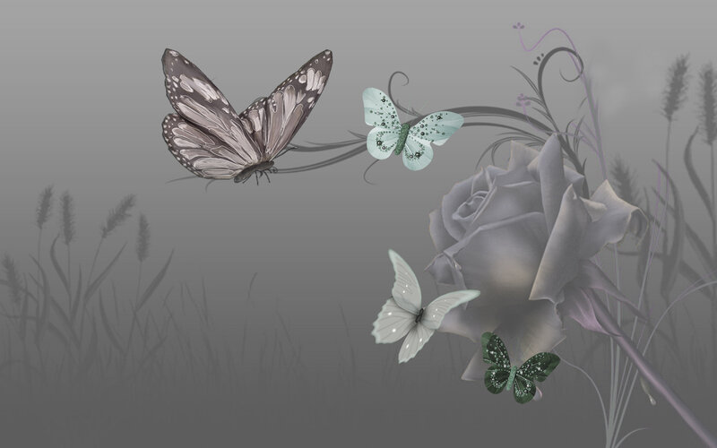 Butterflies and Rose — Gray