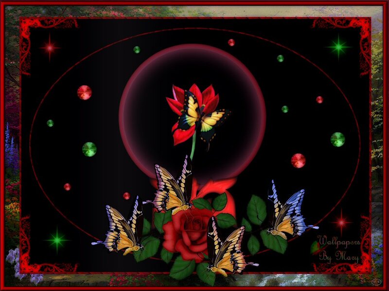 Butterflies and Roses — Black