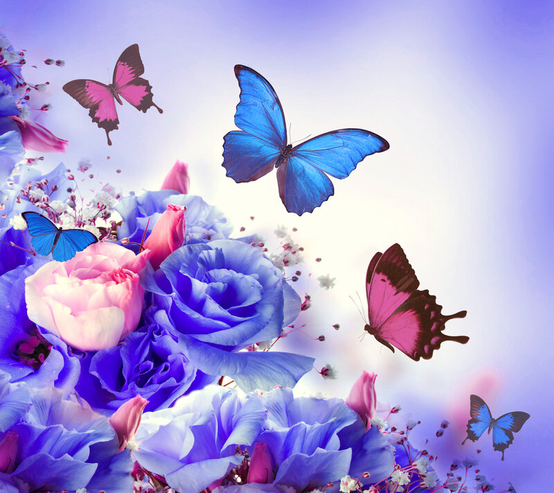 Butterflies and Roses — Blue, Serene