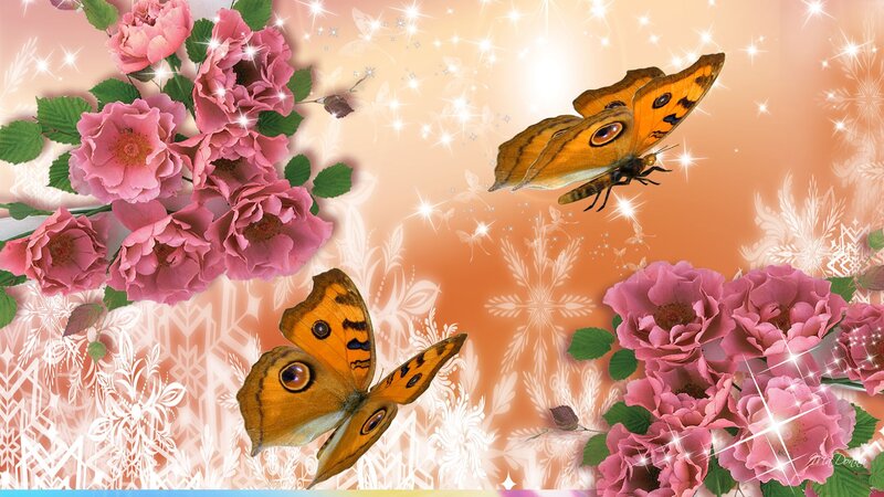Butterflies and Roses — Pink, Dreamy
