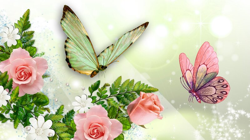 Butterflies and Roses — Pink, Serene