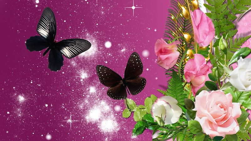 Butterflies and Roses — Purple, Magical