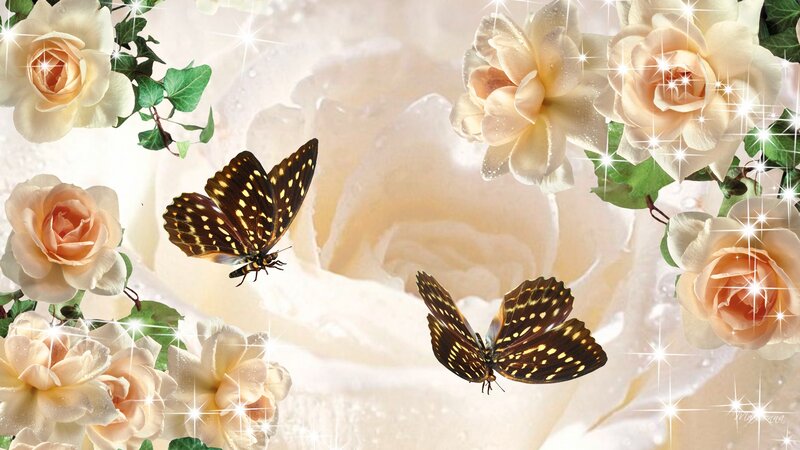 Butterflies and Roses — White