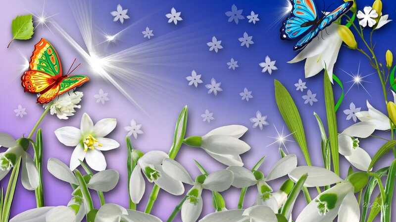 Butterflies and Snowdrops
