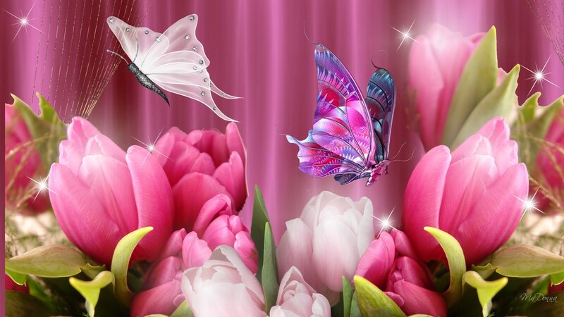 Butterflies and Tulips