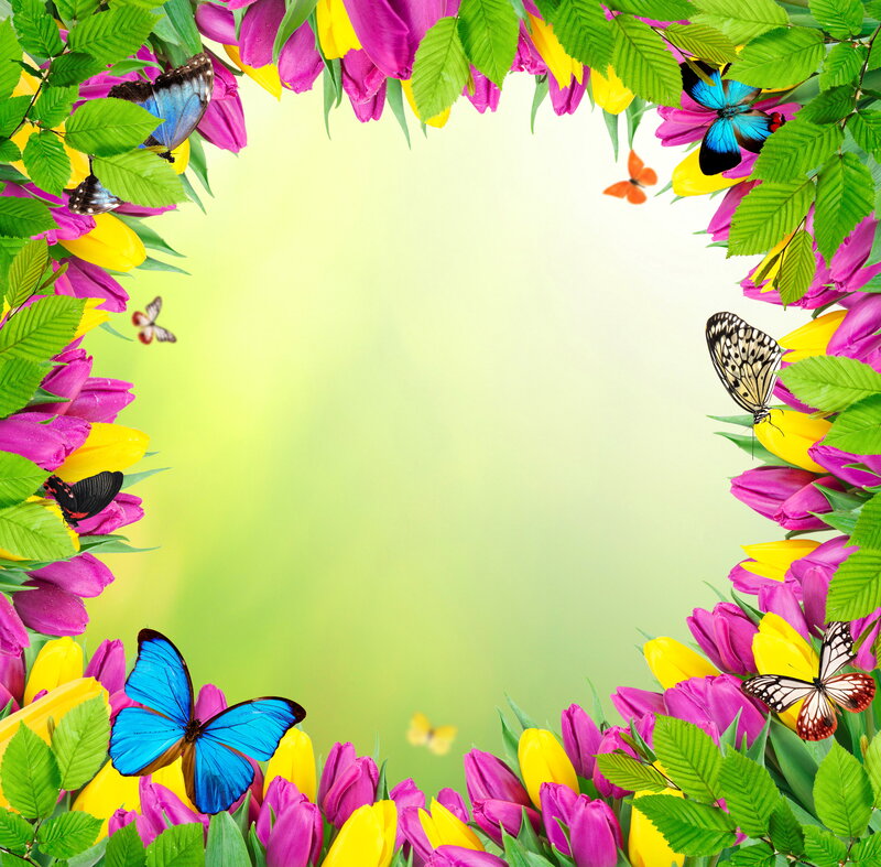 Butterflies and Tulips — Yellow