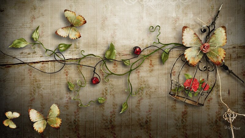 Butterflies and Vines in Cage