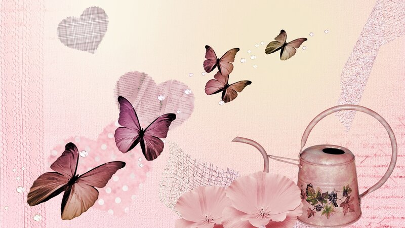 Butterflies and Watering Can