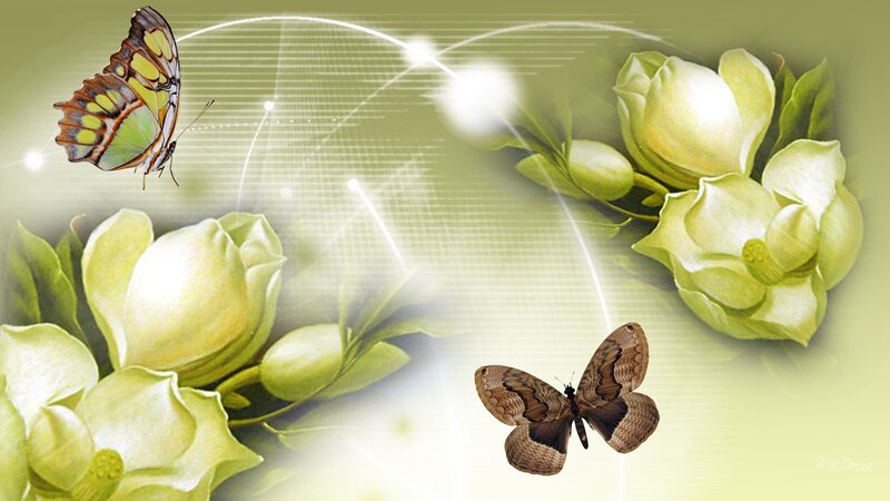 Butterflies and White Flowers — Green