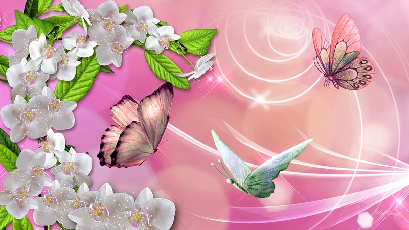 Butterflies and White Flowers — Pink
