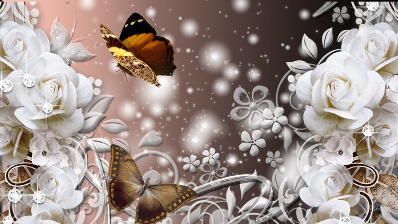 Butterflies and White Roses