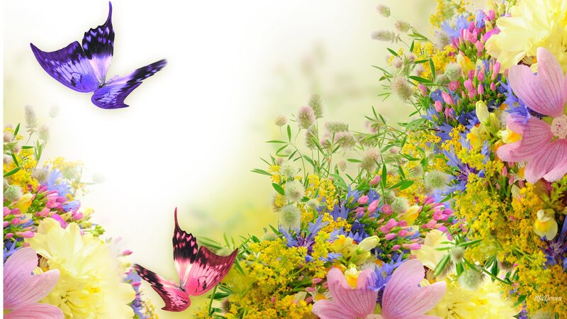 Butterflies and Wildflowers — Yellow, Serene