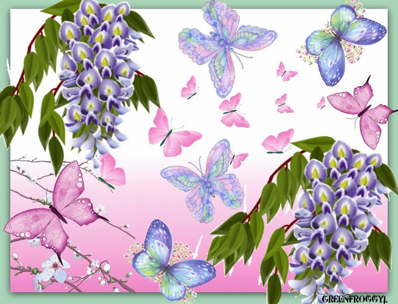 Butterflies and Wisteria