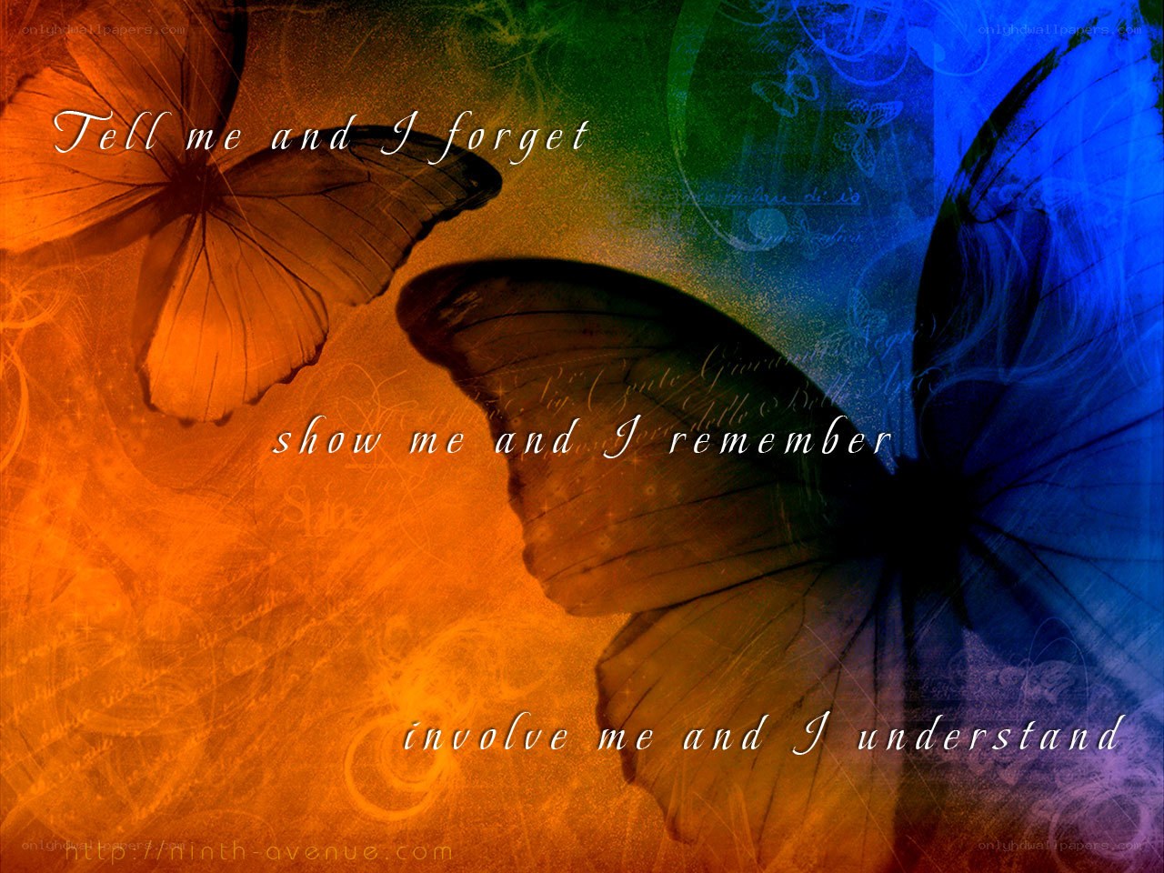 butterflies and words