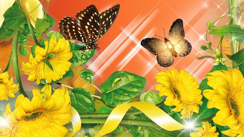 Butterflies and Yellow Flowers