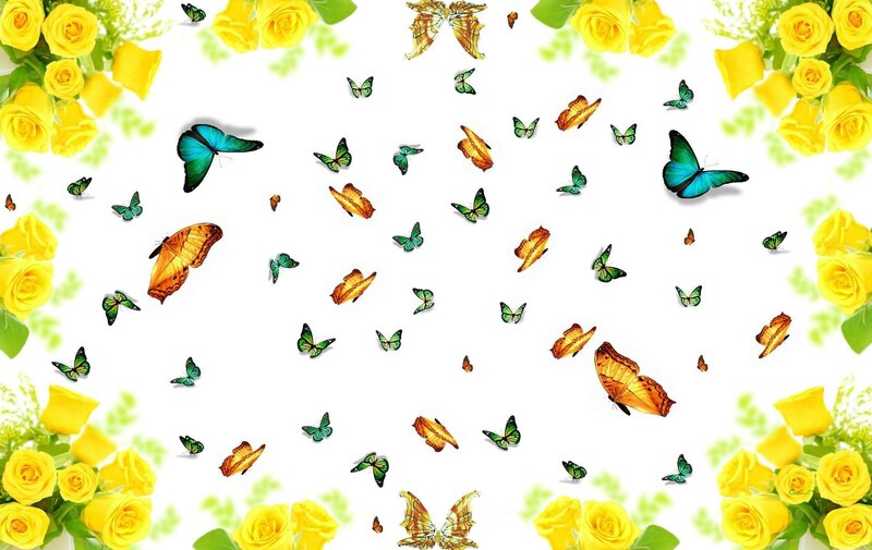 Butterflies and Yellow Roses — Cheerful