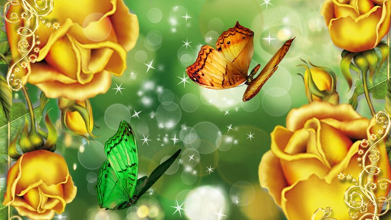 Butterflies and Yellow Roses