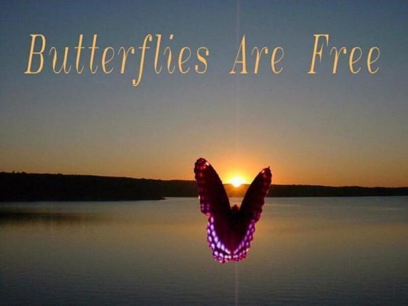 Butterflies Are Free