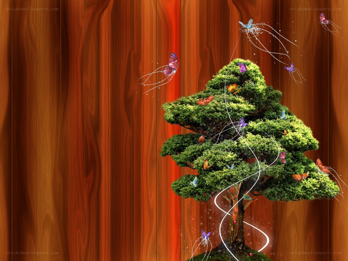butterflies around a bonsai tree