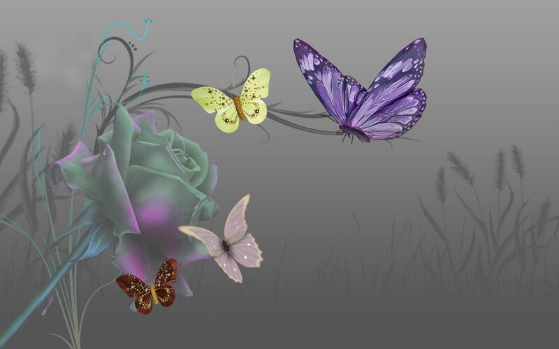 Butterflies Around a Rose