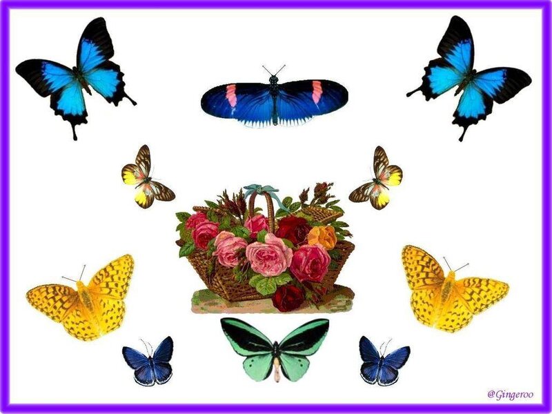 Butterflies Around Flowers