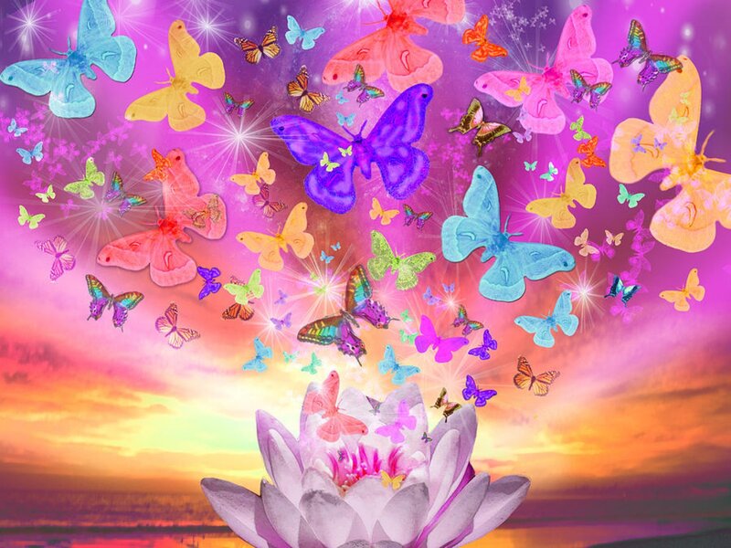 Butterflies Around Lotus