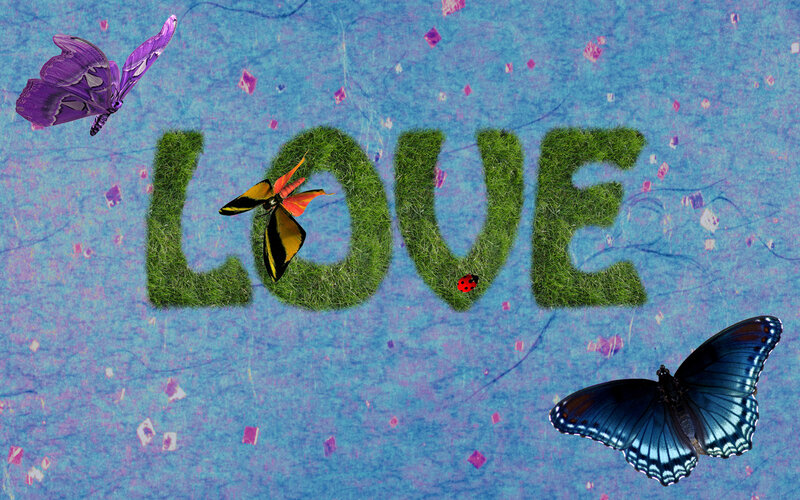 Butterflies Around Love Text