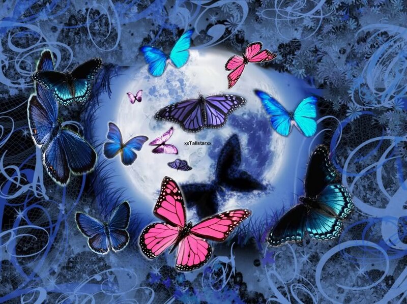 Butterflies Around Moon