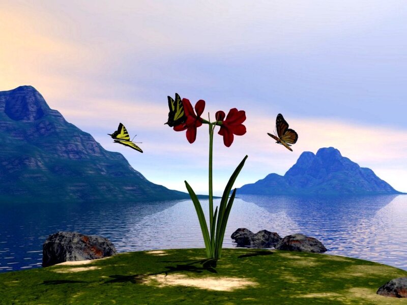 Butterflies Around Red Flower