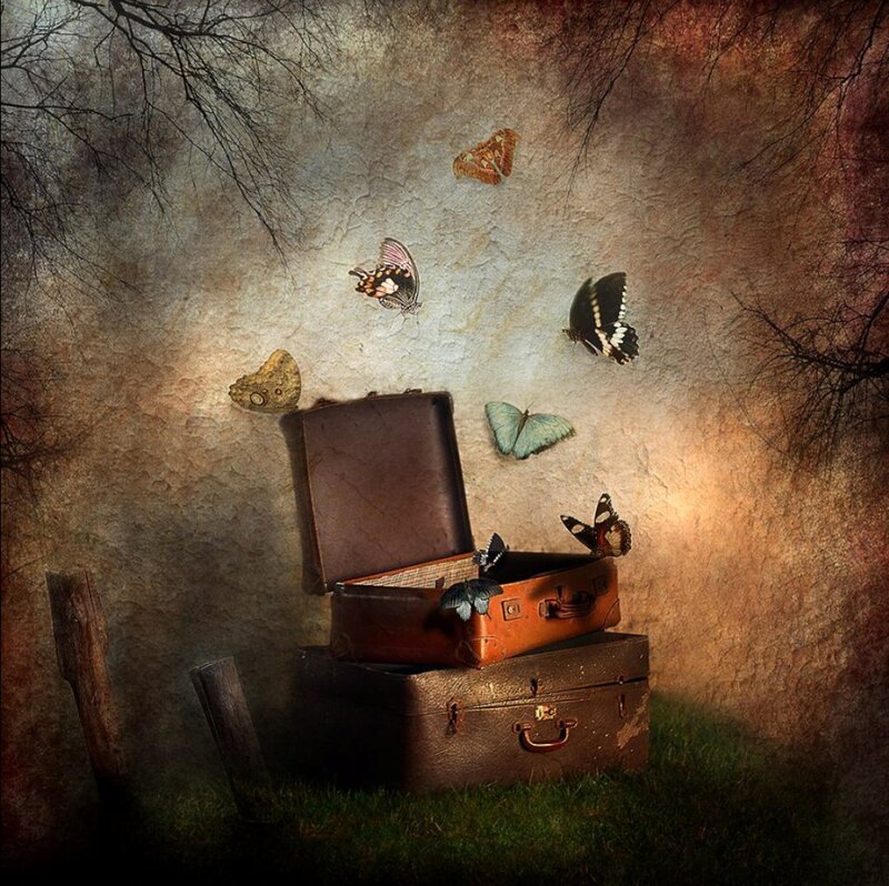 Butterflies Around Suitcases