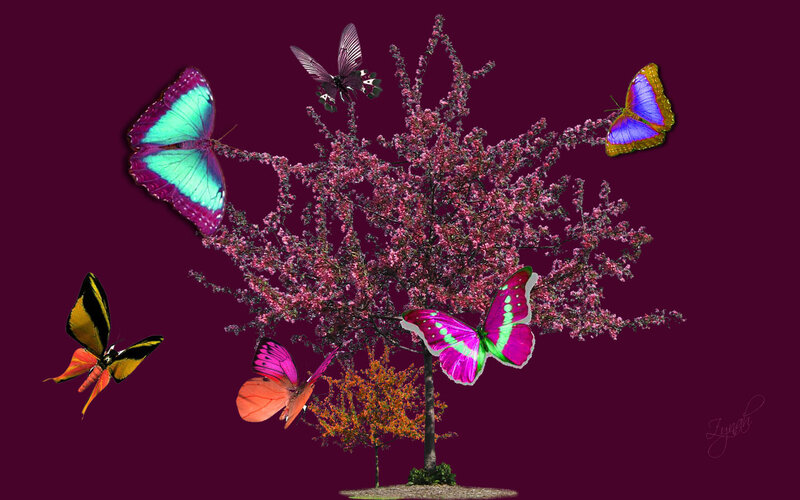 Butterflies Around Tree