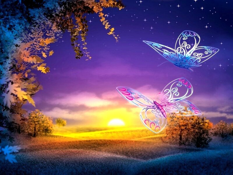 Butterflies at sunset