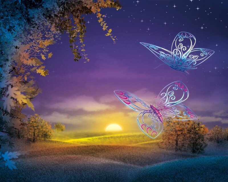 Butterflies at sunset
