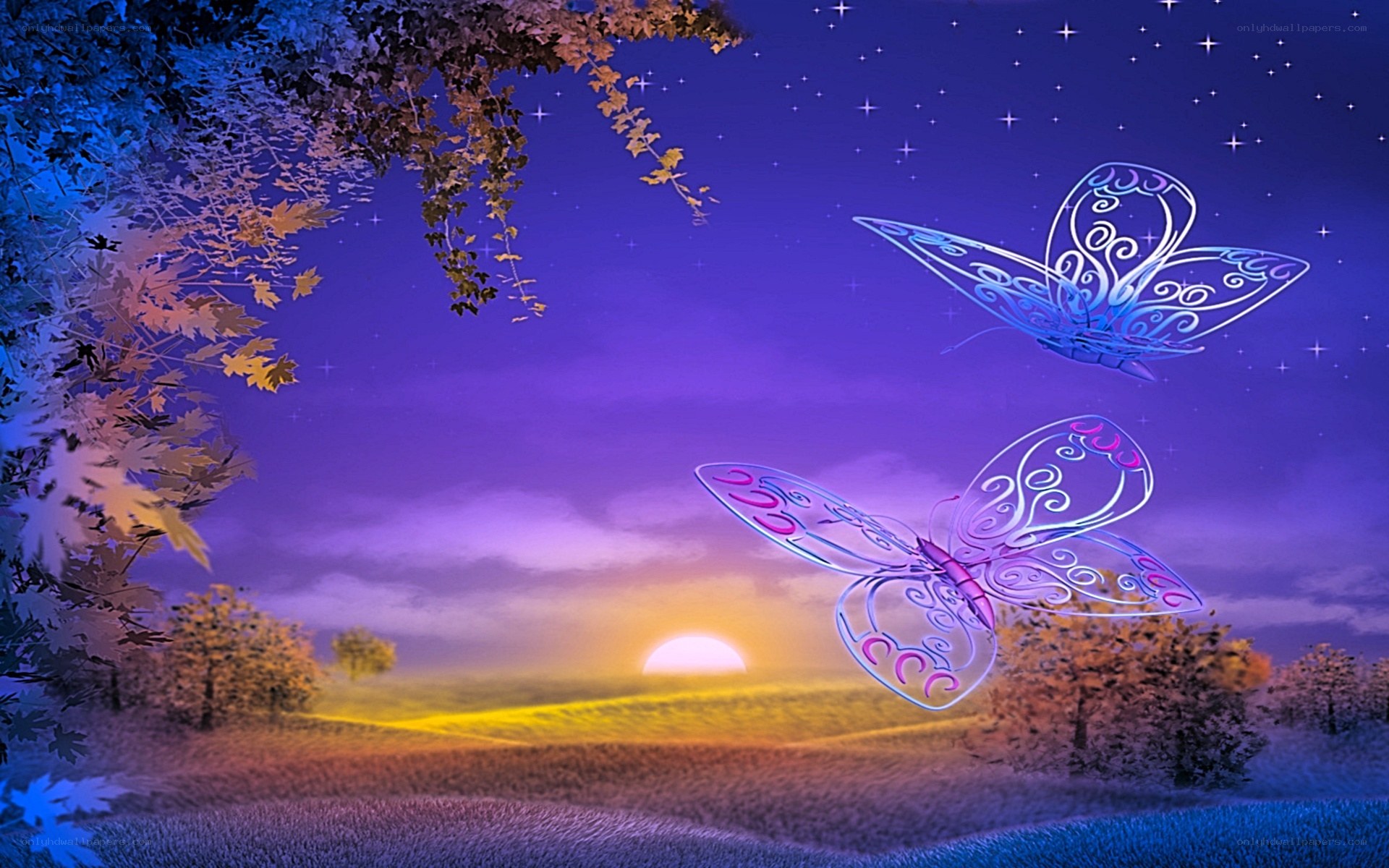 butterflies at twilight
