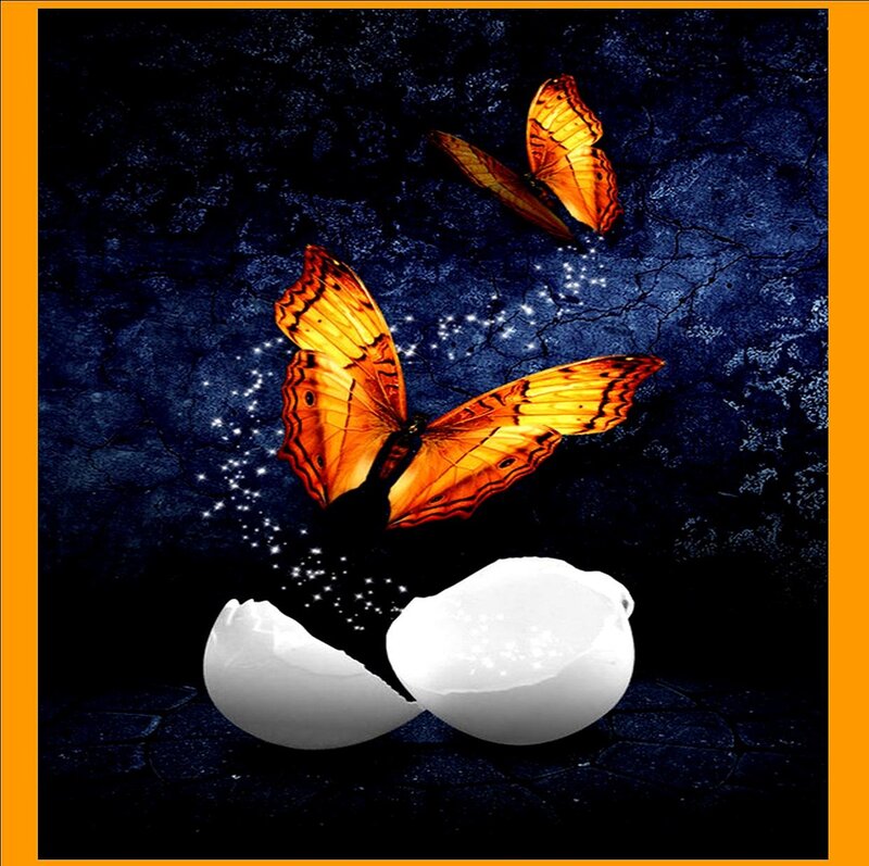 Butterflies Emerging from Egg