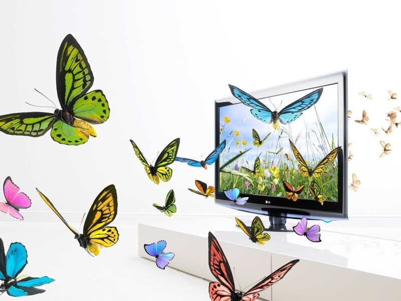 butterflies emerging from screen