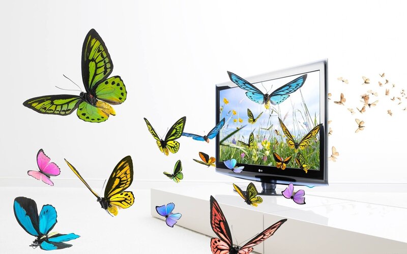 butterflies emerging from screen
