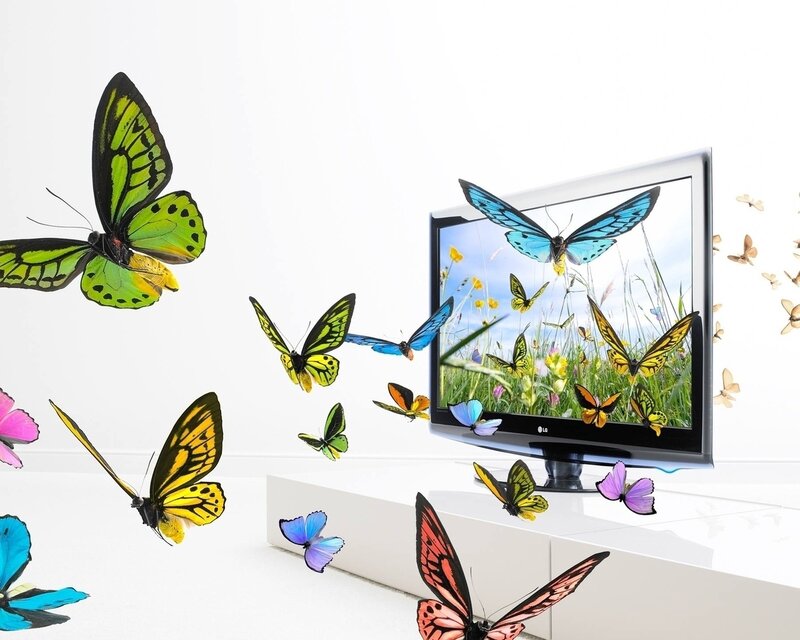 Butterflies Emerging from Screen — White