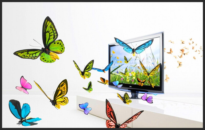 Butterflies Emerging from TV